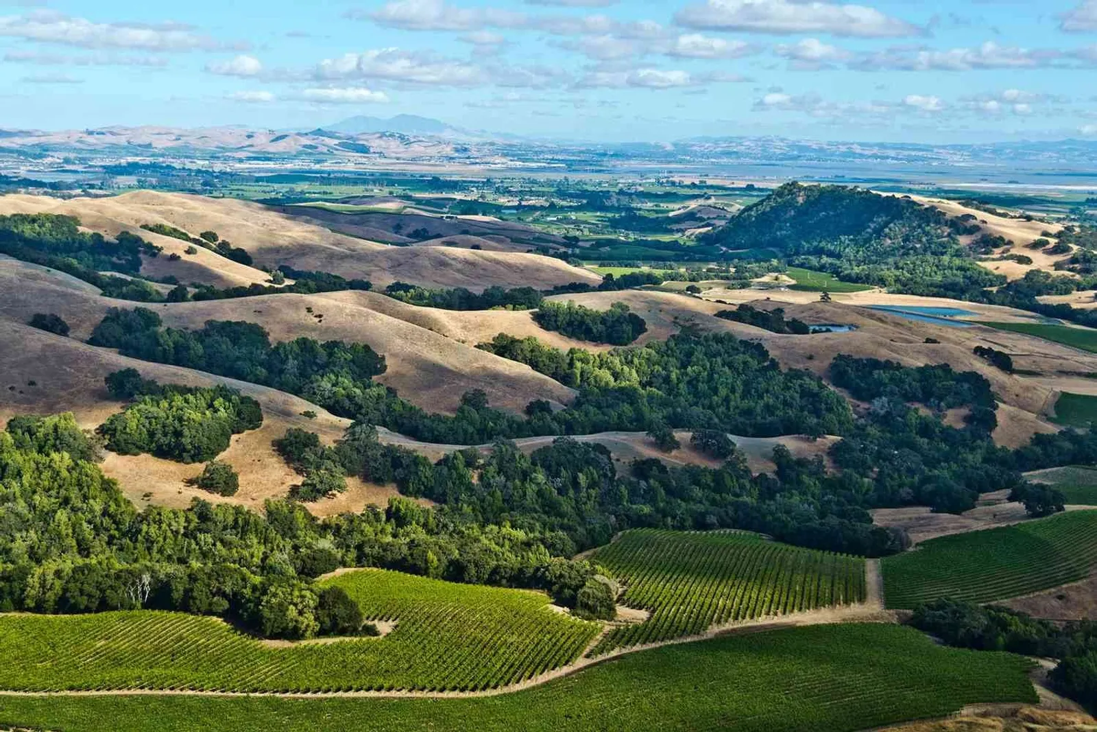 A wine-country valley with vineyards and a rural property